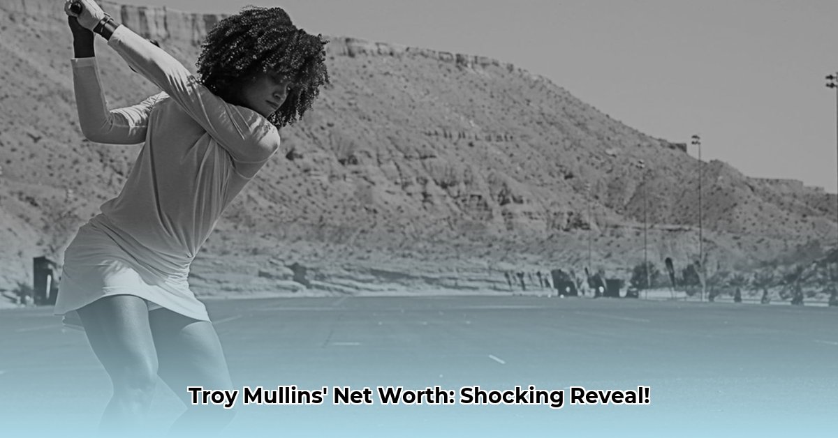 troy mullins net worth